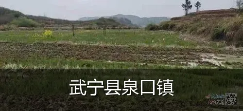 武宁县泉口镇